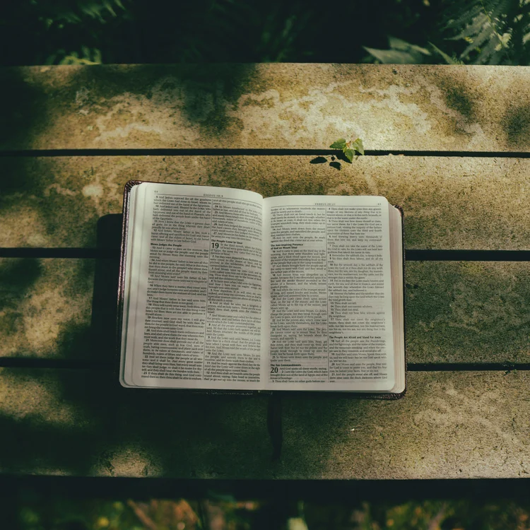 An open Bible resting in dappled garden light